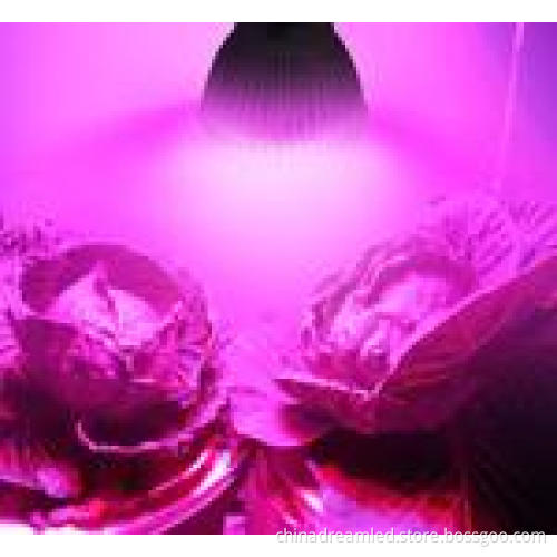 Hot Selling taiwan Epistar 42mil Led Chip 1W 3W High Power Full Spectrum Led Chip Apply For Plant Grow Lighting